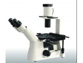 Inverted Biological Microscope XDS-403